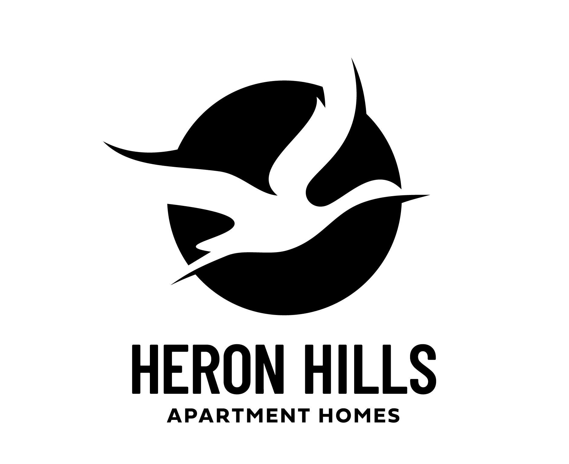 A black screen with a white border.